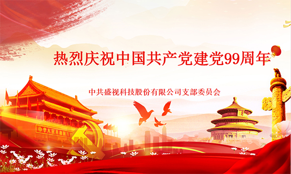 盛视党建动态|万搏(中国)wanbo·官方网页版,党组织开展庆祝建党99周年主题党日活动